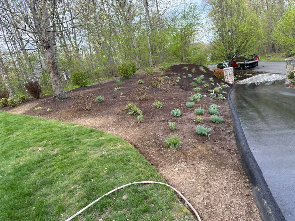 Landscaping & Planting
